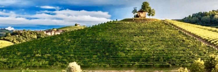 GiuseppeNegro2's profile banner image