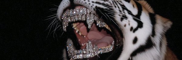 SharniceXO Profile Banner