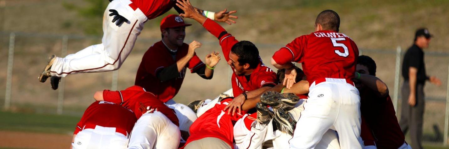 RBIBaseballClub's profile banner image