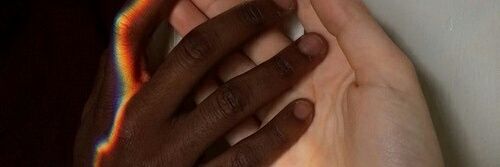 WereChameleon's profile banner image