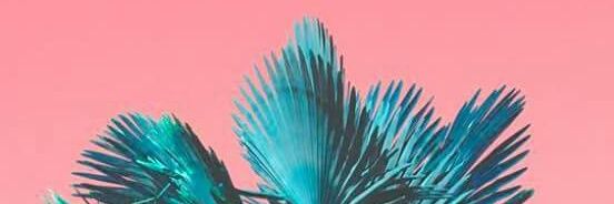 notyklein's profile banner image