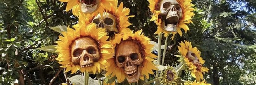 shaywilliee's profile banner image