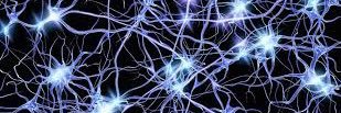 Mycelium_Mind's profile banner image