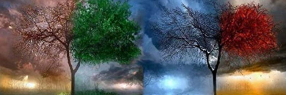 Bolduc4's profile banner image