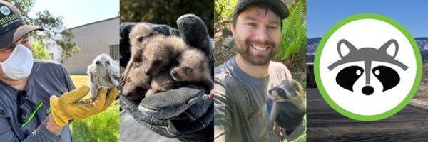 SkedaddleWild Profile Banner