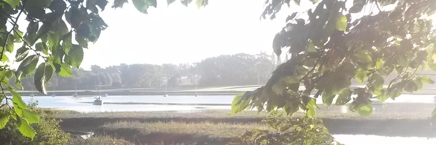 TransitionWoodbridge banner