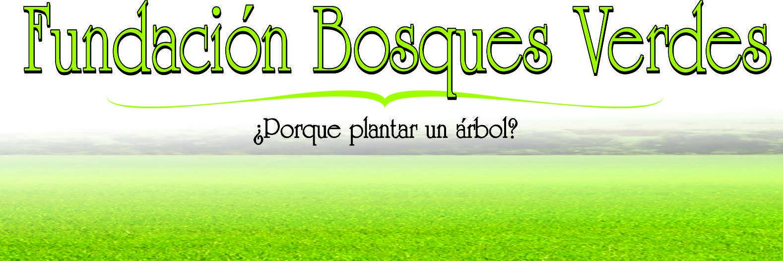fubosquesverdes's profile banner image