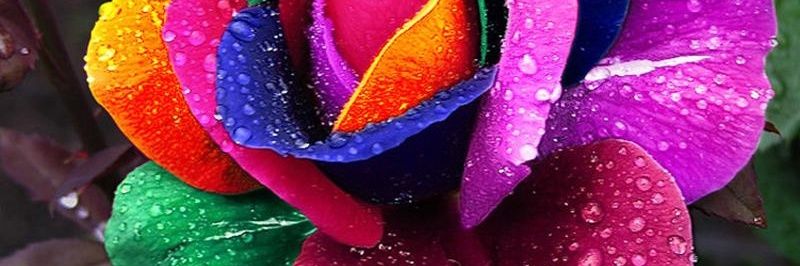 AzMade87's profile banner image