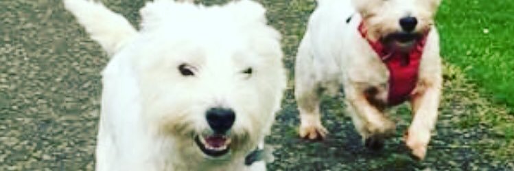 MarkPwr1991's profile banner image