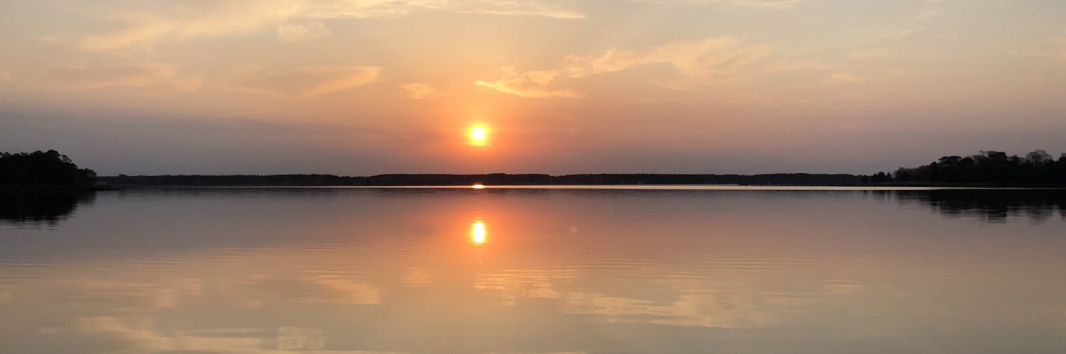 Daphne Lazar-Price banner