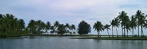 mal_saddam's profile banner image