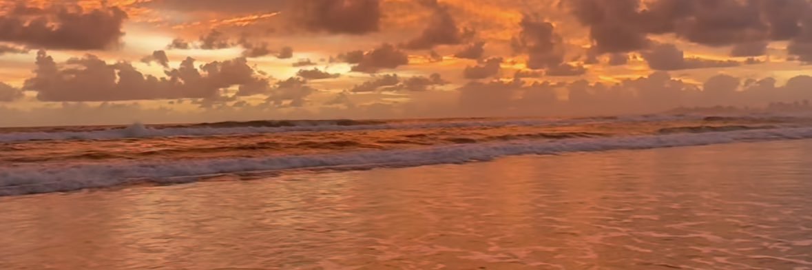 The Lonely Loner banner