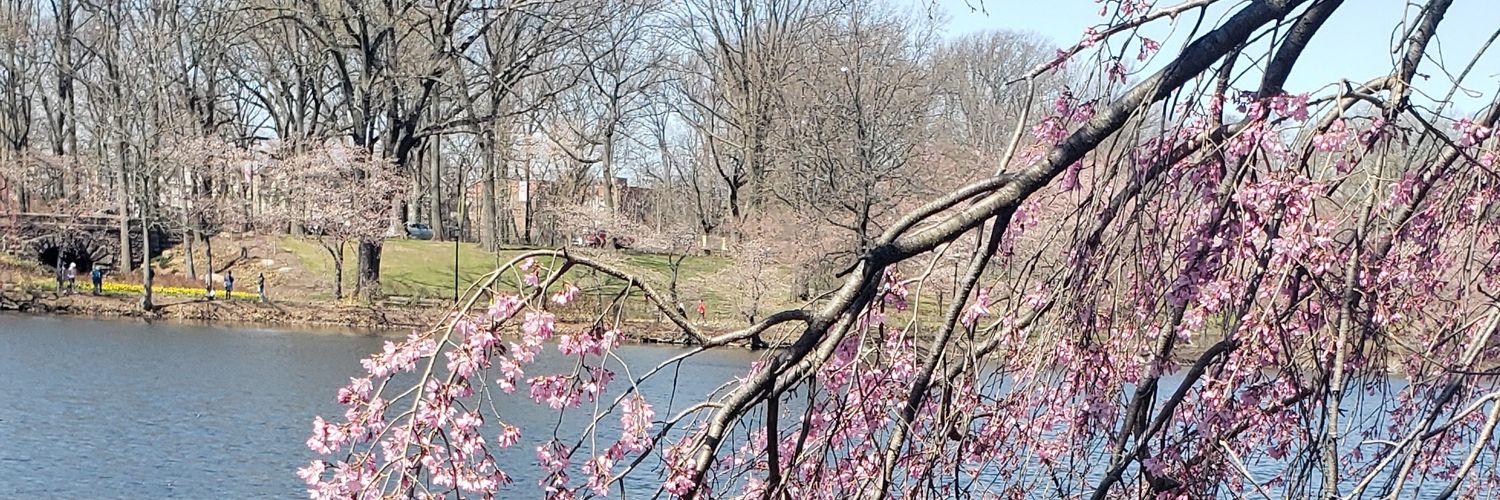 Kwarnercohen's profile banner image