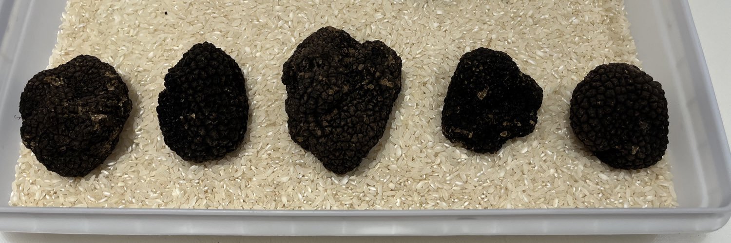 Chris Bennett banner