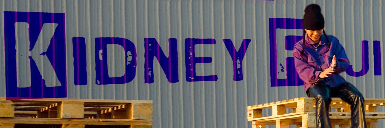 Kidney Fuji banner