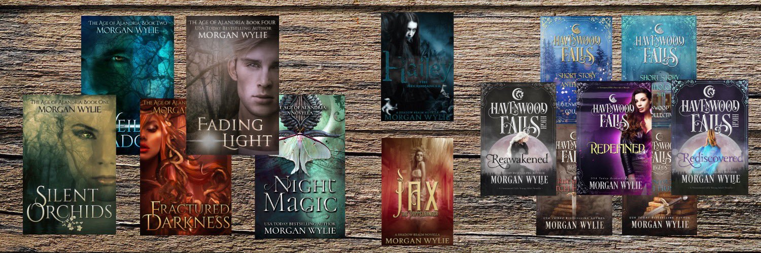 MWylieBooks's profile banner image