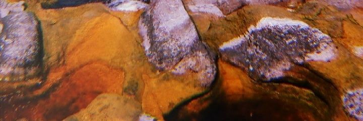 nthldias's profile banner image