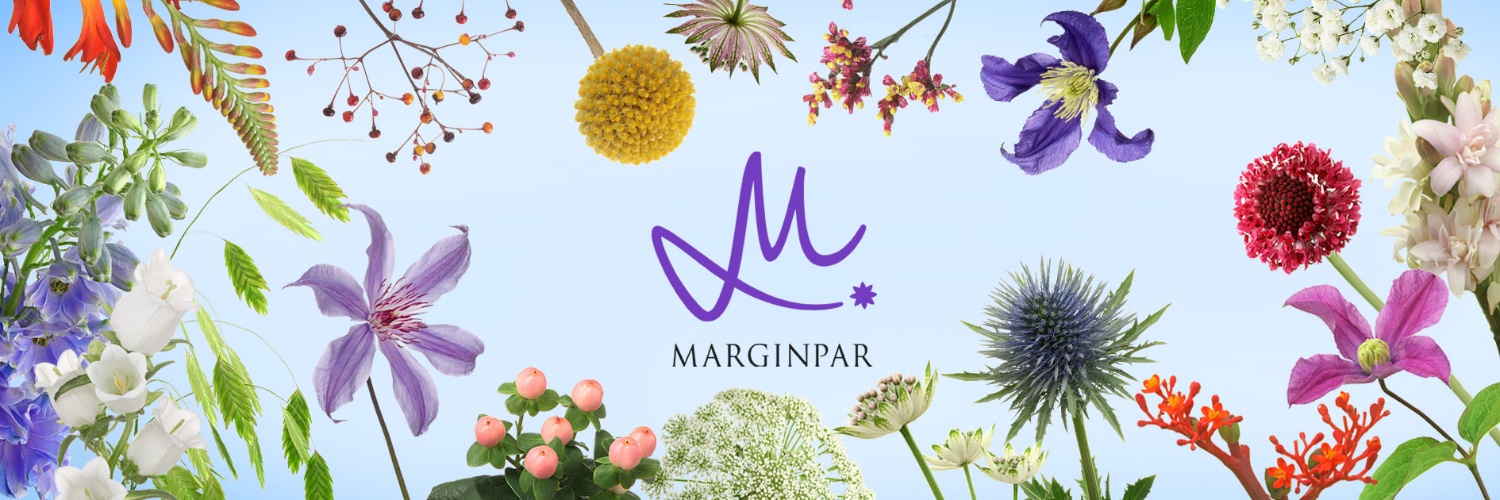 Marginpar's profile banner image