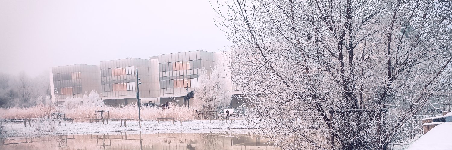 Edson Cardozo banner