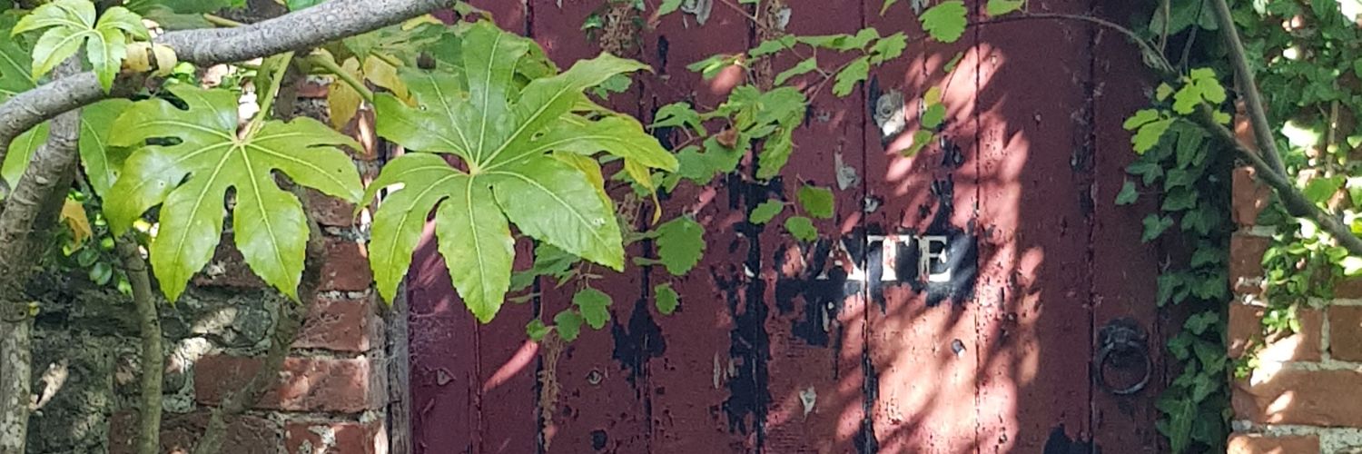 daiderby's profile banner image