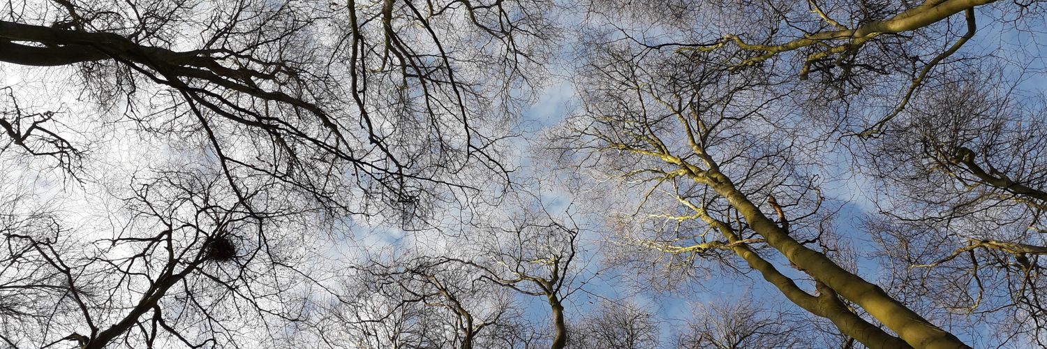 karen🌼🌳🦋 💙 banner