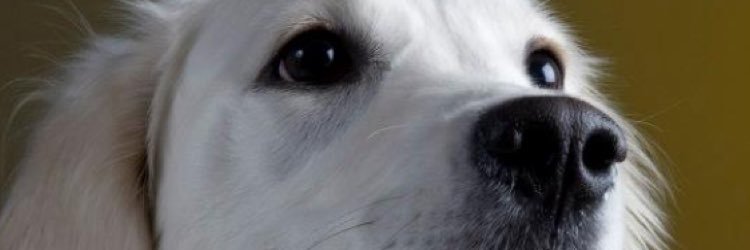 Evan_Wride's profile banner image