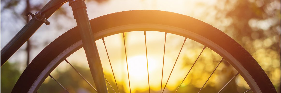 ucdaviswheel's profile banner image