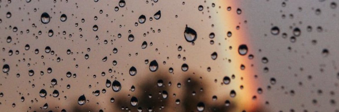 Carosilvetti's profile banner image