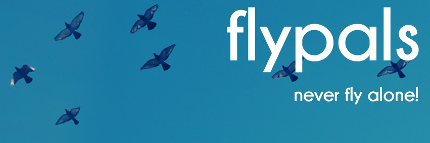 FlyPals's profile banner image