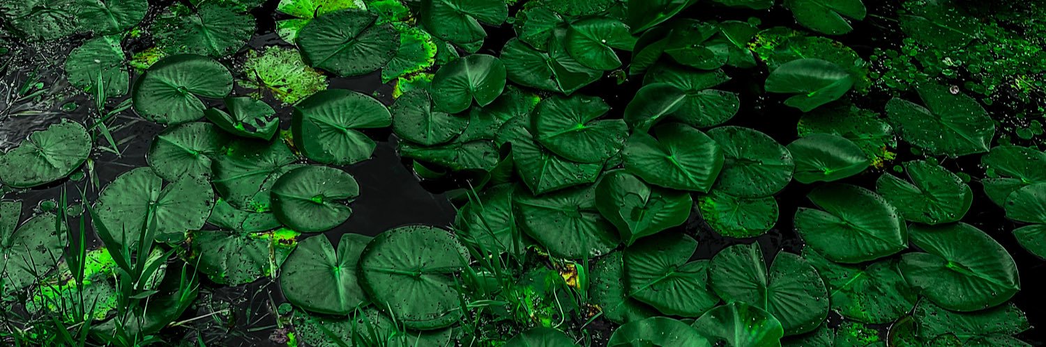CatherineTestan's profile banner image