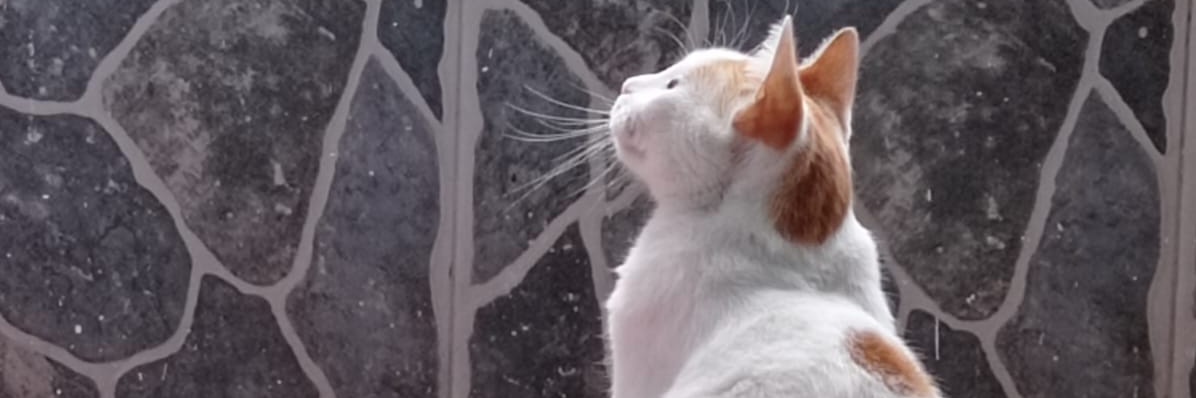 TIMBY5's profile banner image