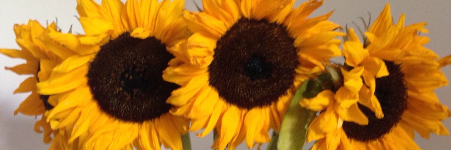 lauratempler's profile banner image