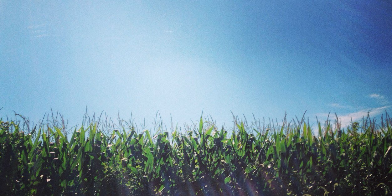 TweetieBoert's profile banner image