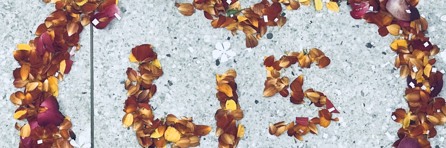 lisoliveiraaf's profile banner image