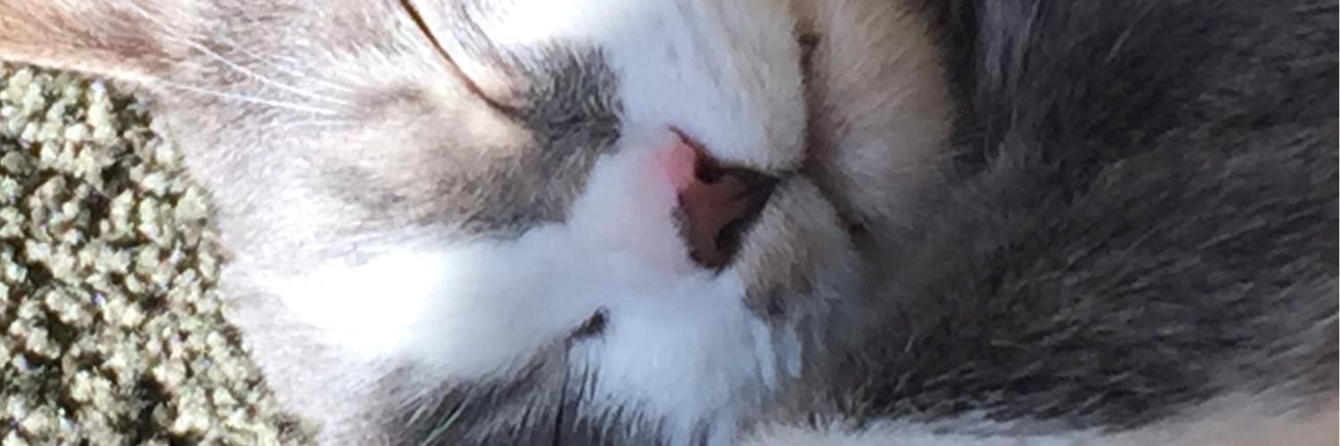 meyersv01's profile banner image