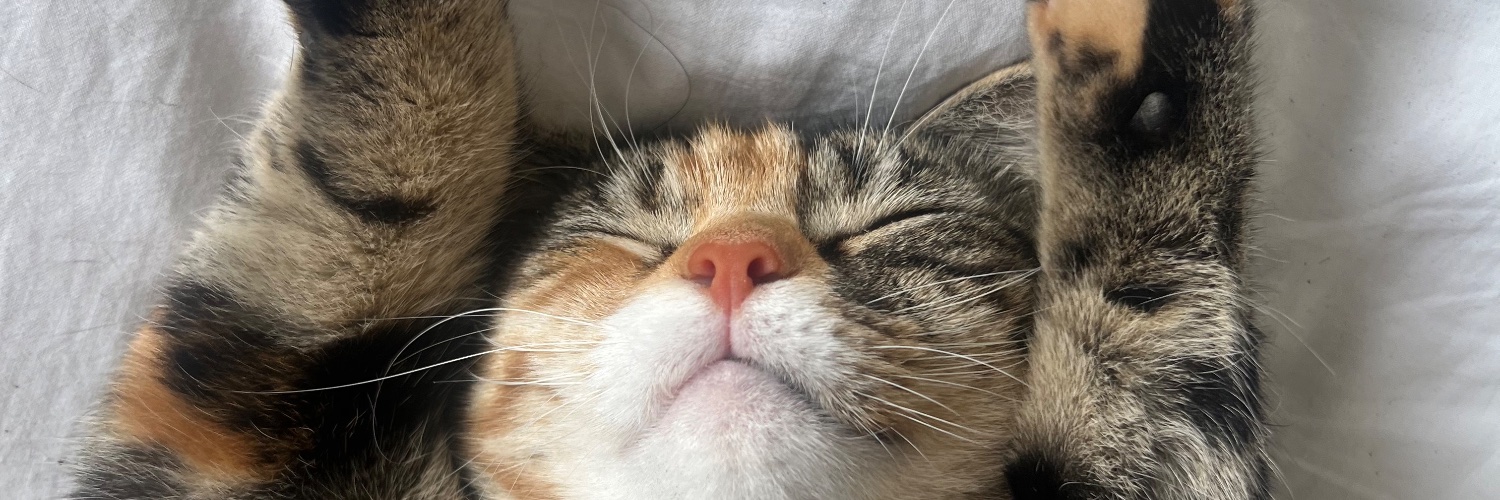 ellaamaeh's profile banner image