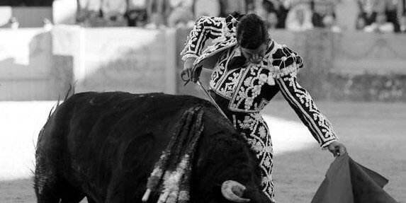 Javielchipiron's profile banner image