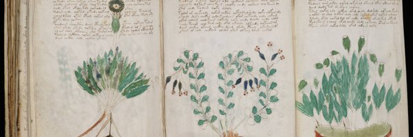 MiGrant Profile Banner