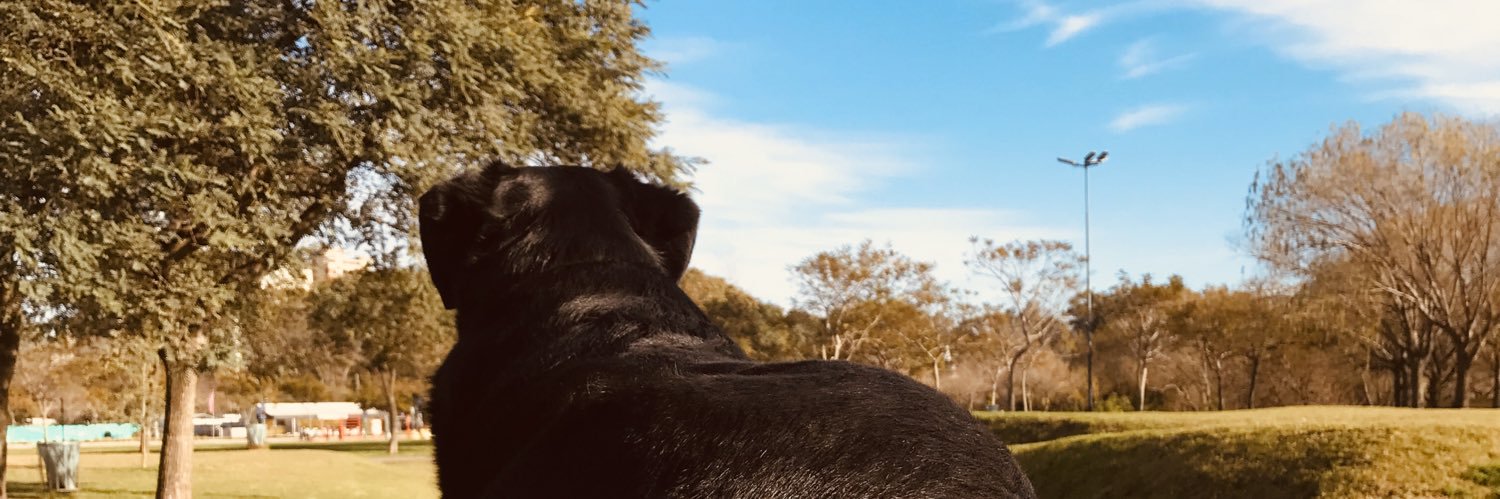 Jaazpe's profile banner image