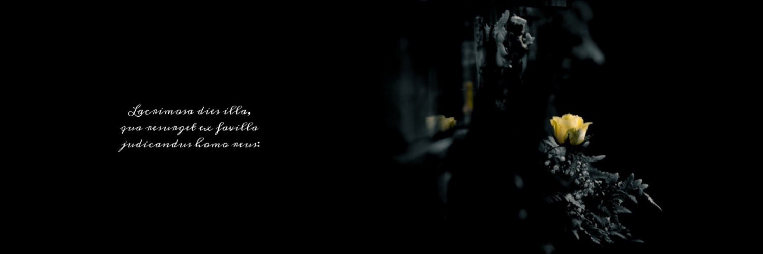 nepie_'s profile banner image