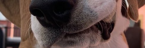 __ED20's profile banner image