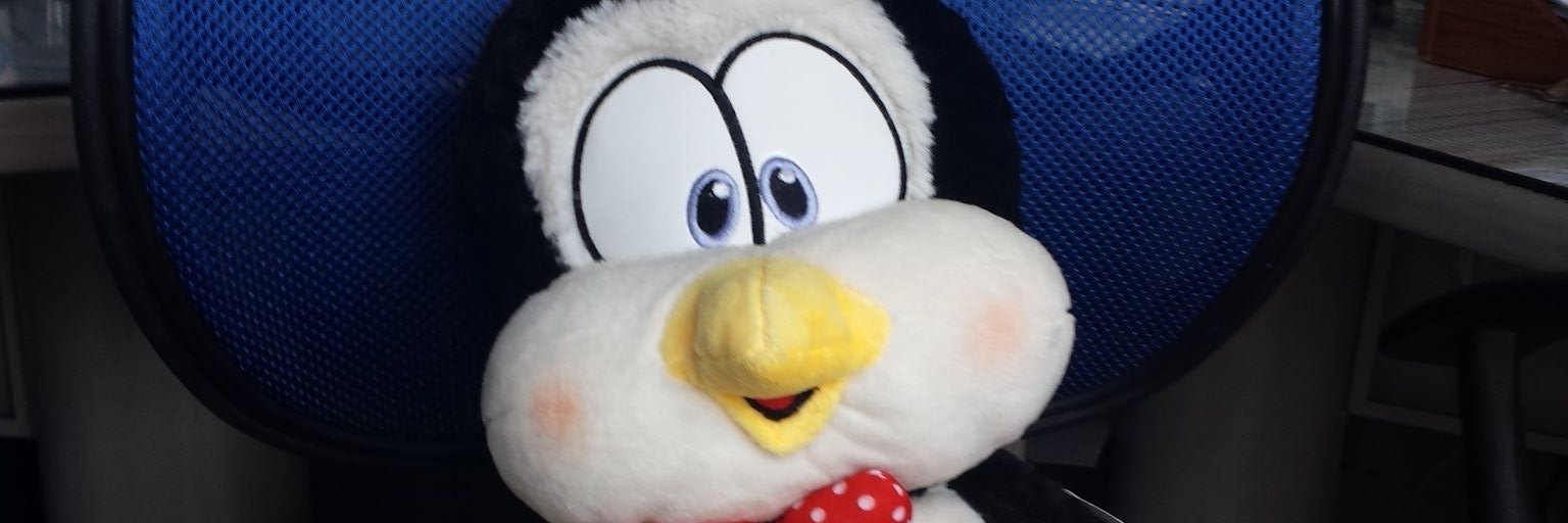kataroisc's profile banner image