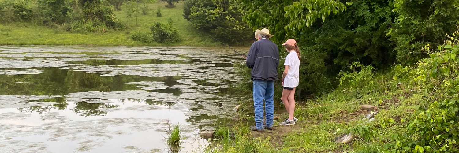 Elizabeth Haarberg banner