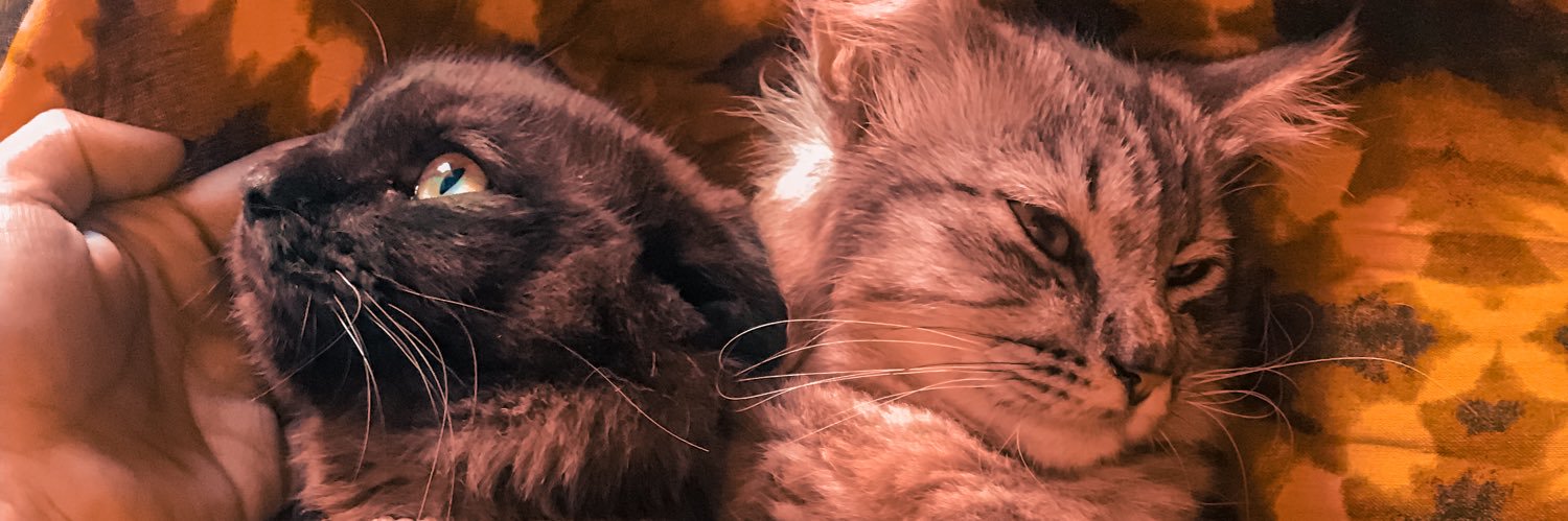 glegle's profile banner image