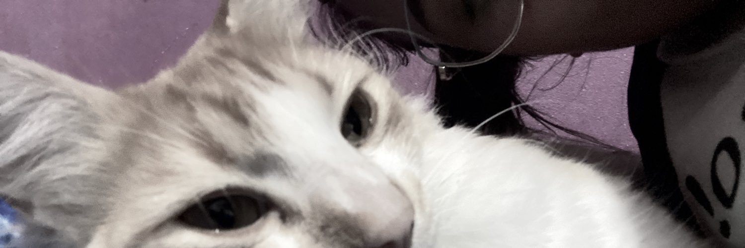 Miile099's profile banner image