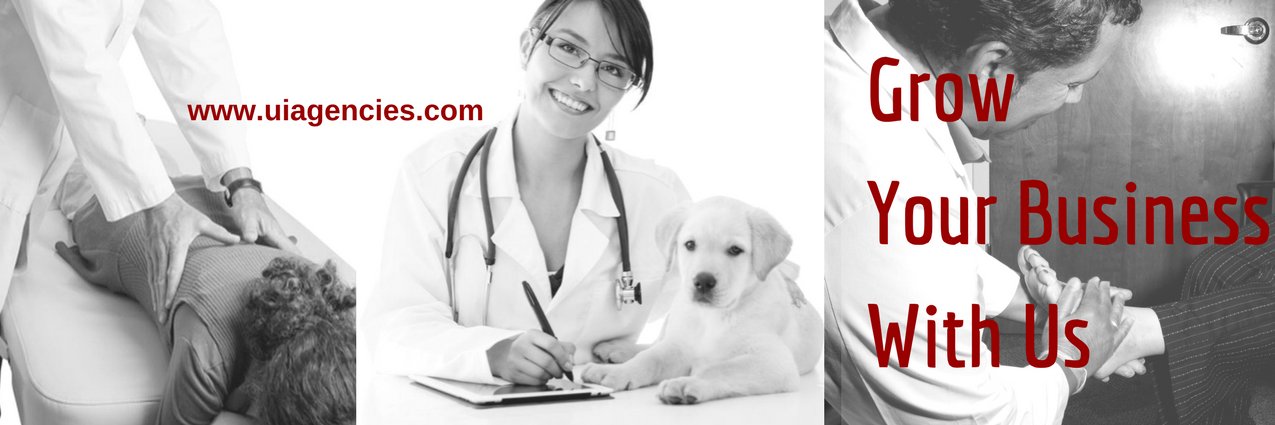 UIAgencies's profile banner image