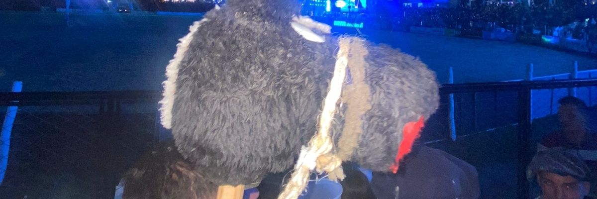 Cokiigallardo's profile banner image