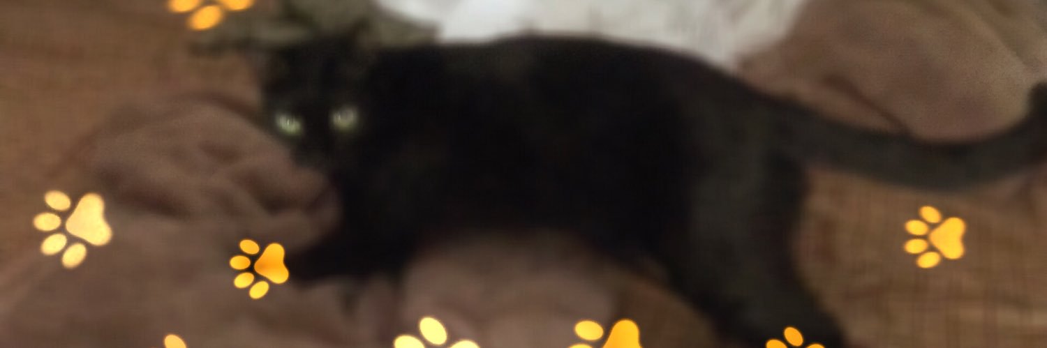 LdjMommy's profile banner image