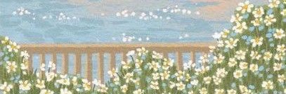 yxpn9's profile banner image