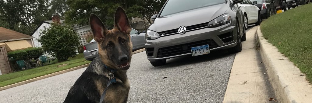 thibertt's profile banner image